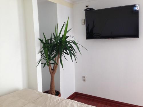 a bedroom with a plant and a flat screen tv on the wall at Residencial Victoria Said in Linares