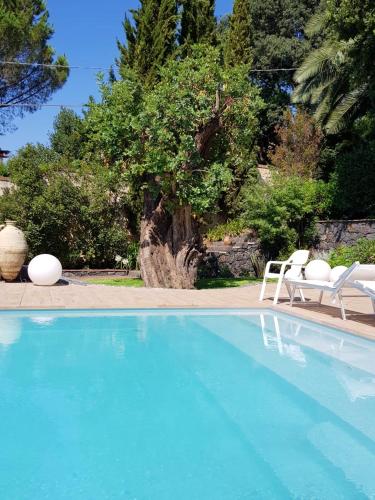 uma piscina com duas cadeiras e uma árvore em Studio with shared pool enclosed garden and wifi at Trecastagni 8 km away from the beach em Trecastagni