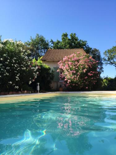 une piscine d'eau avec une maison en arrière-plan dans l'établissement Villa charmante à Arpaillargues-et-Aureillac avec piscine privée, à Arpaillargues-et-Aureillac