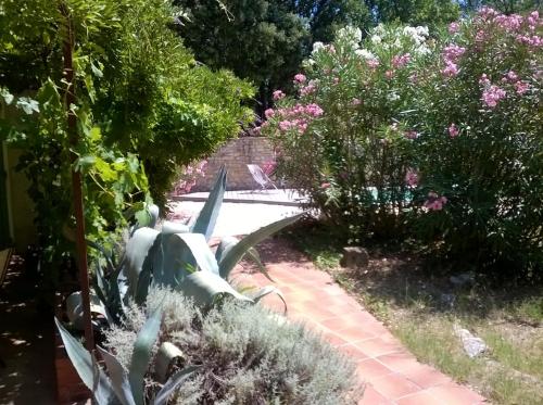 Κήπος έξω από το Villa charmante à Arpaillargues-et-Aureillac avec piscine privée