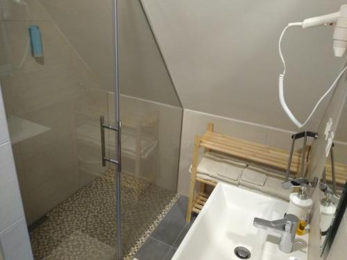 W łazience znajduje się prysznic i umywalka. w obiekcie Megi apartman - Konaci Maglic w mieście Kopaonik