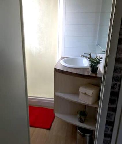 une salle de bain avec un lavabo et un miroir dans l'établissement Chalet charmant à Saint-Léger-les-Mélèzes avec vue sur la montagne, à Saint-Léger-les-Mélèzes