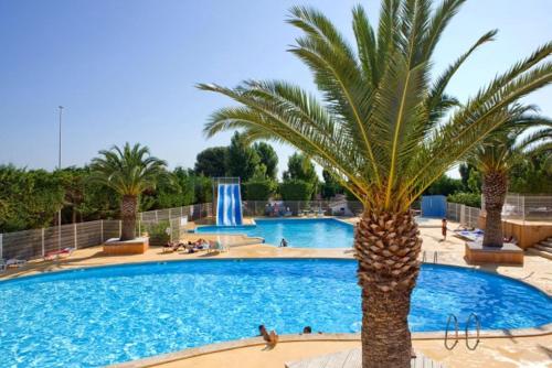 Propriete de 2 chambres avec piscine partagee terrasse amenagee et wifi a Vic la Gardiole a 4 km de 