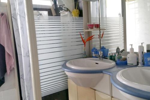 ein Badezimmer mit einem Waschbecken, einem WC und einem Spiegel in der Unterkunft Appartement d'une chambre avec jardin amenage et wifi a Lamentin in Lamentin