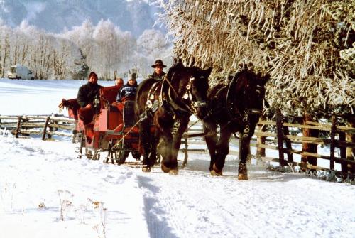 a group of people riding in a horse drawn carriage in the snow at Bio-Bauernhof Samerhof in Mariapfarr