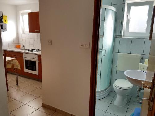 Baño pequeño con aseo y lavamanos en 2 bedrooms appartement at Pag 100 m away from the beach with sea view enclosed garden and wifi en Pag