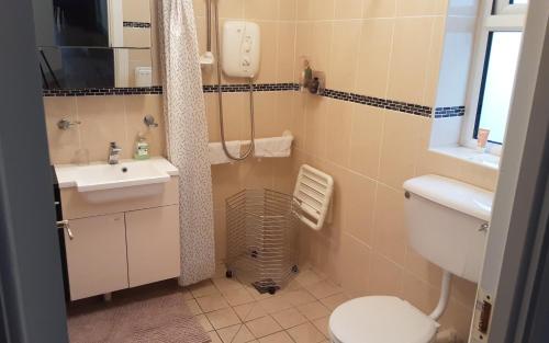 y baño con aseo y lavamanos. en Cosy 2-Bed Cottage in Sligo en Enniscrone