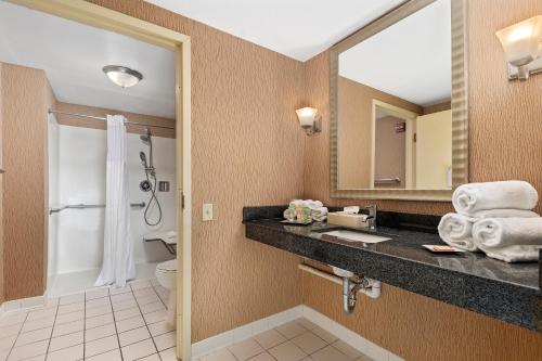 a bathroom with a sink and a toilet and a mirror at Wyndham Garden Norfolk Downtown in Norfolk