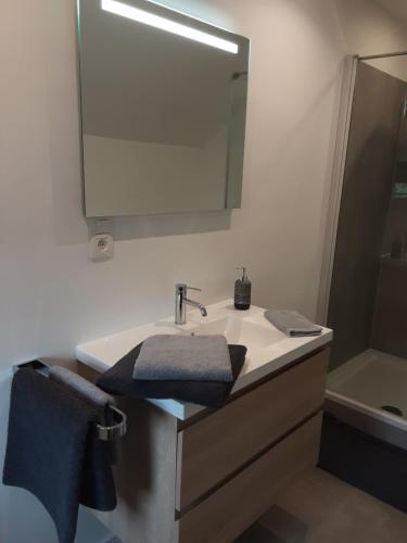 a bathroom with a sink and a mirror at L' Ancienne Ferme in Marche-en-Famenne