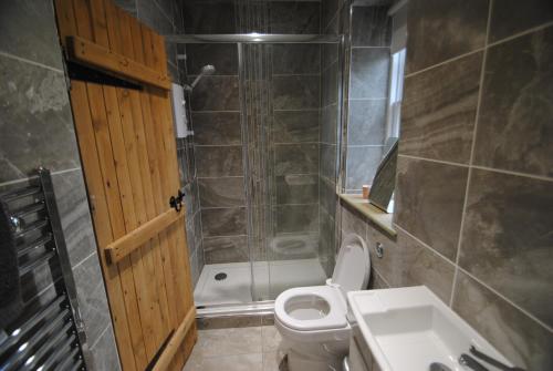 a bathroom with a toilet and a shower and a sink at Mauldslie Hill Cottage in Gorebridge