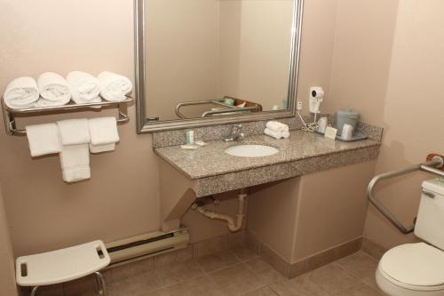 a bathroom with a sink and a mirror and a toilet at Quality Inn Lockport in Lockport