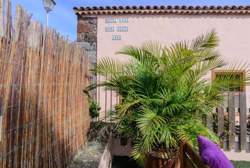 a fence with a palm tree in front of a building at Casa Doña Justa in Tegueste