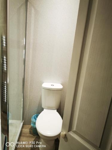 a bathroom with a toilet and a glass door at oddfellowsbandb in Blythe