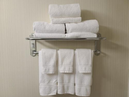 Vadnais Heights的住宿－Holiday Inn Express Hotel & Suites-St. Paul, an IHG Hotel，浴室毛巾架上的一堆毛巾