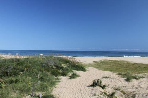 Bluefish #2A-CAC – Photos 3