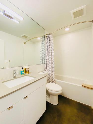 a bathroom with a toilet and a sink and a mirror at Modern Ballard Townhouse - 92 Walkscore & Rooftop! in Seattle