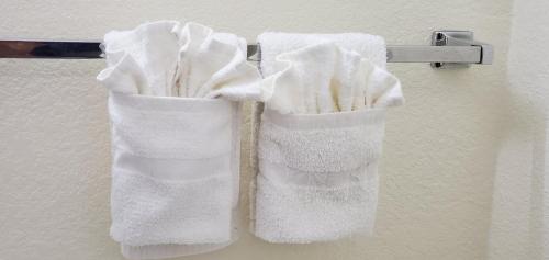 two towels hanging on a towel rack in a bathroom at WILLIAMSTON INN in Williamston