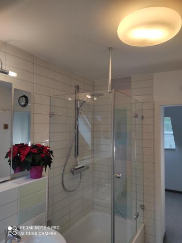 a bathroom with a shower with a glass door at Waldhus in Ueckeritz