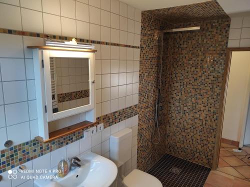 a bathroom with a sink and a toilet and a mirror at Waldhus in Ueckeritz