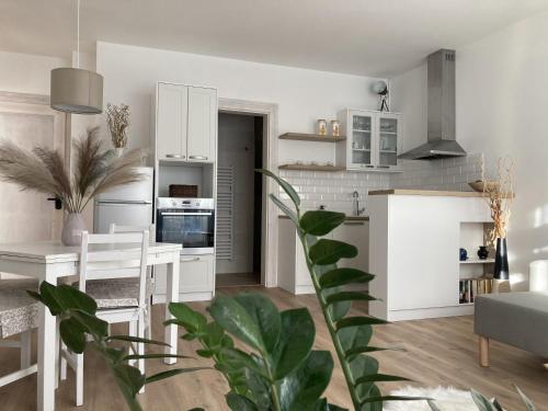 a kitchen with white cabinets and a table and a plant at the house in Poprad