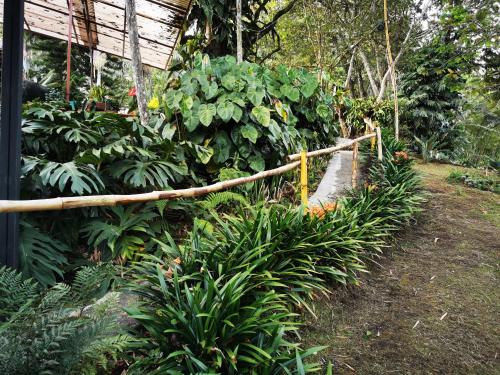 a garden with plants and a fence in front of a building at Hotel Marrokos Aeropuerto José María Córdova in Rionegro
