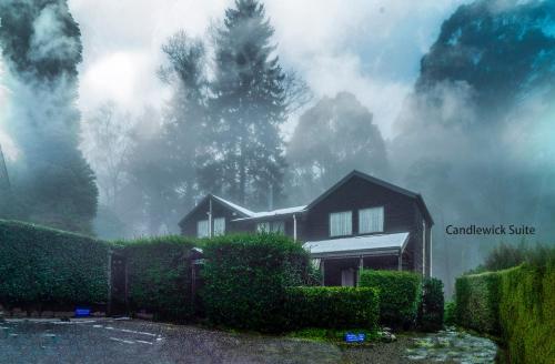 una casa en la niebla con una casa en Observatory Cottages, en Mount Dandenong