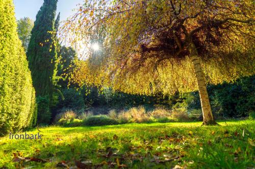 Jardín al aire libre en Observatory Cottages