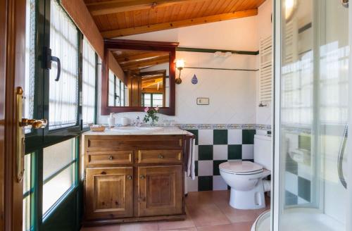 ein Bad mit einem WC, einem Waschbecken und einer Dusche in der Unterkunft Casa de Marcelo in Padrón