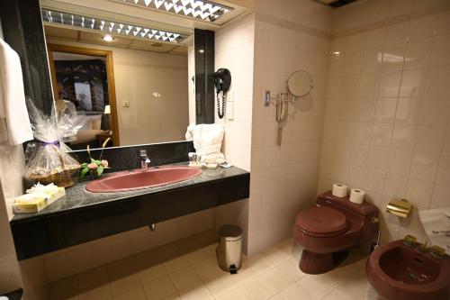 Koupelna v ubytování Hotel Mercure Alger Aéroport