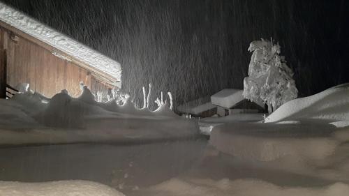 a room covered in snow with a tree in the background at Pension Fürhapter mit Bio- Bauernhof in Sankt Jakob in Defereggen