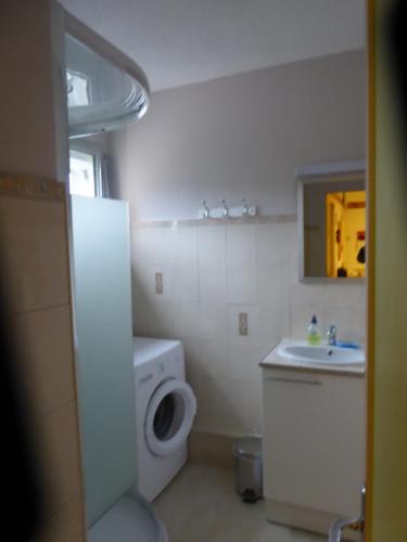 a bathroom with a sink and a washing machine at Les Berges Du Gave D'azun in Argelès-Gazost