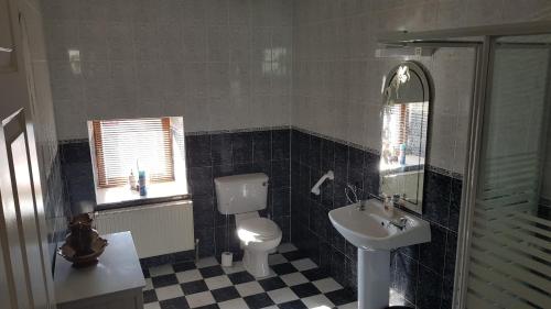 a bathroom with a toilet and a sink and a mirror at Apartment 3 bedroom banagher town centre in Banagher