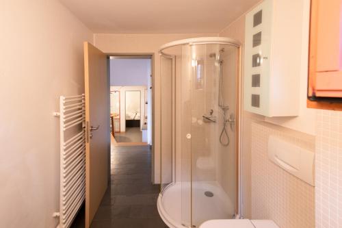 a bathroom with a shower and a toilet at FeWo Schillerstraße in Markdorf