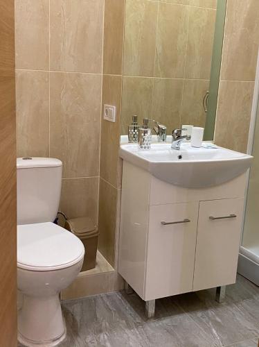 a bathroom with a toilet and a sink at Heart Kyiv Apart-Hotel in Kyiv