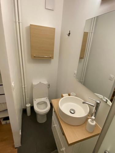 une petite salle de bain avec toilettes et lavabo dans l'établissement T2 lumineux centre ville proche métro, parking gratuit,1 chambre, 1 grande pièce à vivre, à Toulouse