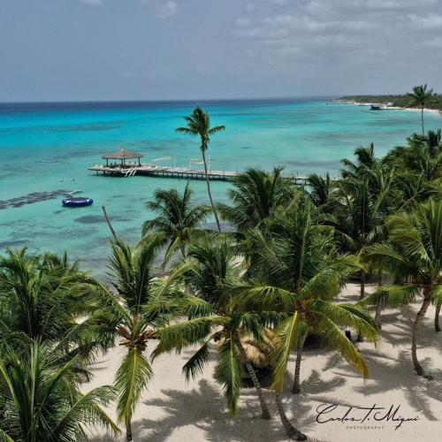 a view of a beach with palm trees and a pier at 3BR Apt @CadaquesCaribe Bayahibe in San Rafael del Yuma