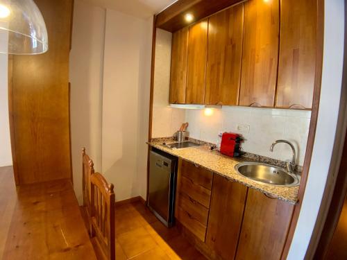 Dapur atau dapur kecil di Apartamentos Los Lagos