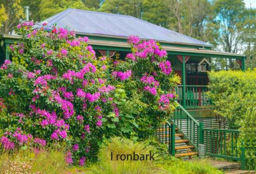 Jardín al aire libre en Observatory Cottages