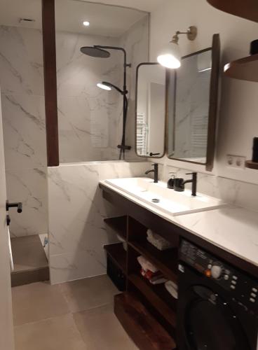 une salle de bain avec un lavabo et une douche dans l'établissement L'appartement de Chiara a Annecy, à Annecy