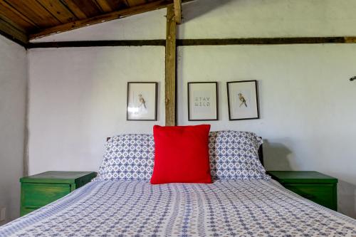 a bedroom with a bed with a red pillow at Villa Pajon Eco Lodge in Constanza