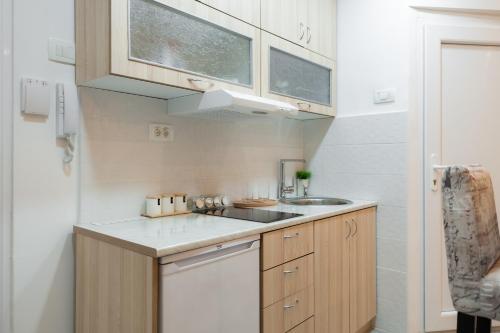 Apartman Sofi LUXにあるキッチンまたは簡易キッチン