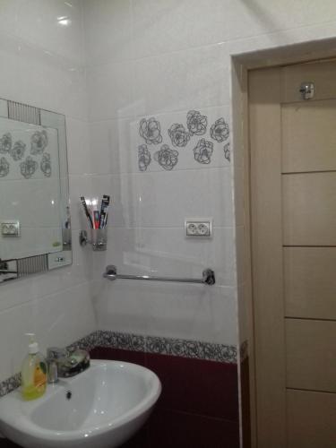 ウラジカフカスにあるАпартаменты в центреのバスルーム(洗面台、鏡付)
