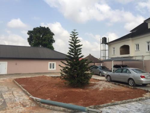 a christmas tree in a yard in front of a house at Elstine’s in Lagos