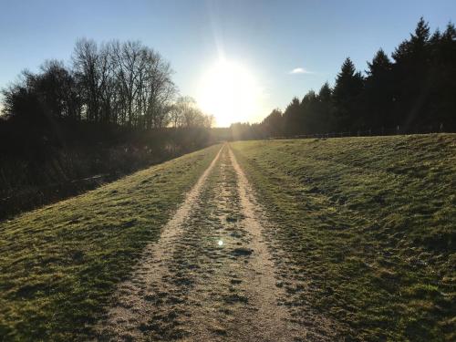 a dirt road in a field with the sun in the background at Hotel Anno 1848 in Lindern