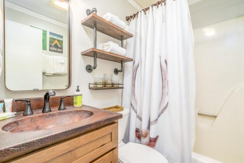 ein Bad mit einem Waschbecken und einer Dusche in der Unterkunft Skyleaf in Sugar Mountain