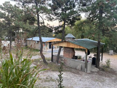 a small house with a brick oven in a forest at Cabaña el Pino 1 in Creel
