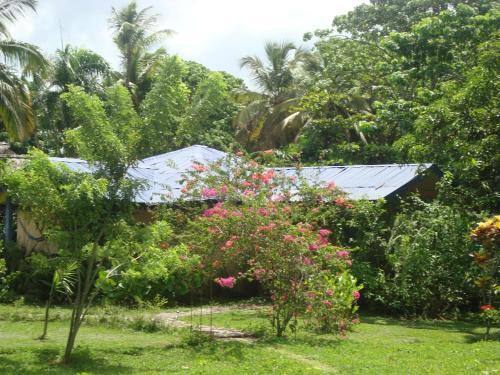 a garden with flowers and trees and a house at Fata Morgana Eco Hotel in Las Terrenas