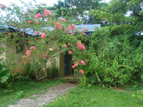 un jardín con flores rosas frente a una casa en Fata Morgana Eco Hotel, en Las Terrenas