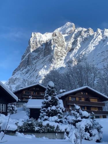Chalet Sunneblick photo 3