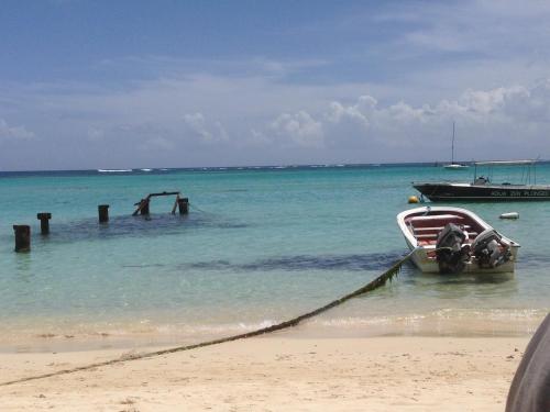 a boat in the water next to a beach at Lauris - Résidence Savannah, 1 ou 2 Chambres avec cuve in Saint-François